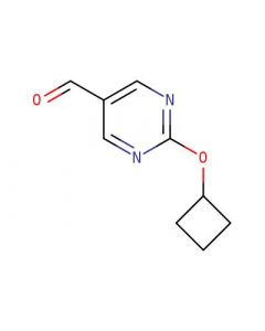 Astatech 2-CYCLOBUTOXYPYRIMIDINE-5-CARBALDEHYDE; 0.25G; Purity 95%; MDL-MFCD31699896